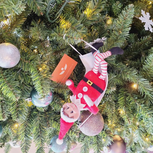 NLTCO en Amalia Group